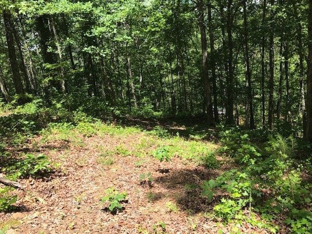 0 Mandy Drive, Wedowee, AL 36278